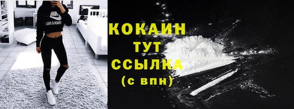 гидропоника Долгопрудный