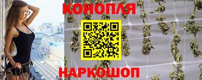 стафф Берёзовский