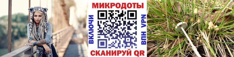mega ссылка  Дубна  Псилоцибиновые грибы мухоморы 