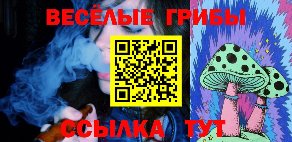 Галлюциногенные грибы Psilocybe  Дубна 