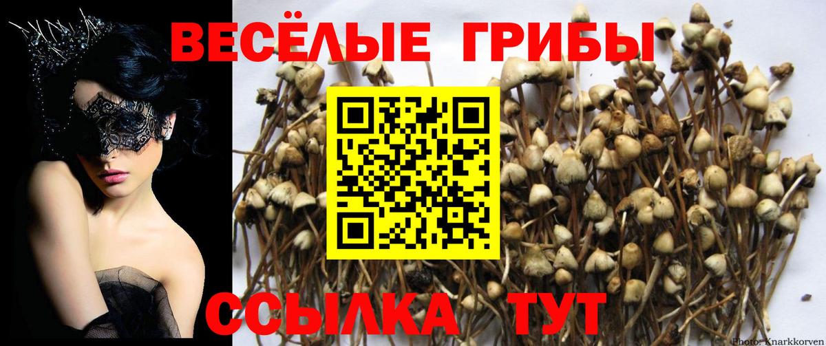 Псилоцибиновые грибы Magic Shrooms Дубна