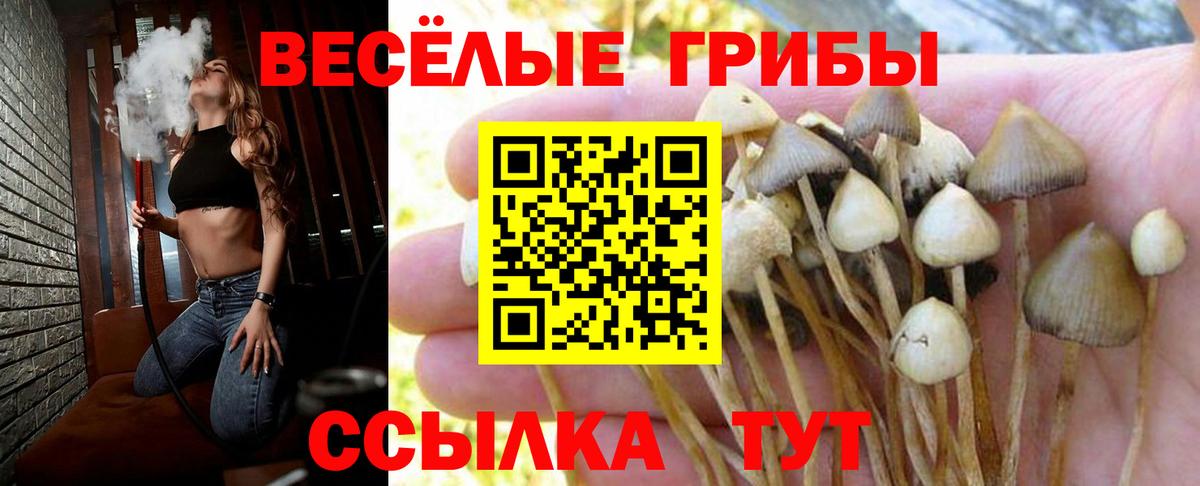 Галлюциногенные грибы Magic Shrooms  Вход с VPN  Галлюциногенные грибы ЛСД  Дубна 